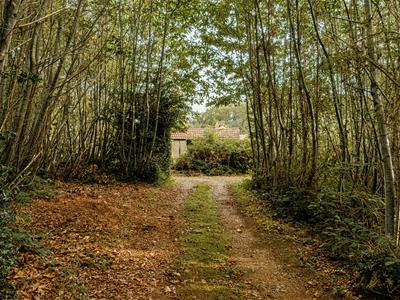 Picture 24